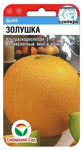 Дыня Золушка 7шт (Сиб сад)