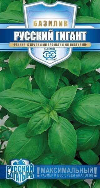 Базилик Русский гигант Зеленый  Русский богатырь 0,3г (Гавриш)