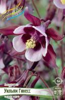 Аквилегия Уильям Гинесс 3шт (Колорлайн)