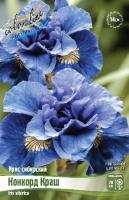 Ирис Конкорд Краш (Сибирский) 1шт (Колорлайн)