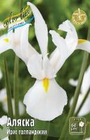 Ирис Аляска (Голландский) 8/9 10шт (Колорлайн)