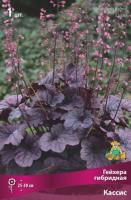 Гейхера Кассис 1шт (Поиск)