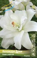 Лилия Аннамари Дрим (Азиатская/Махровая) 12/14 5шт (Колорлайн)