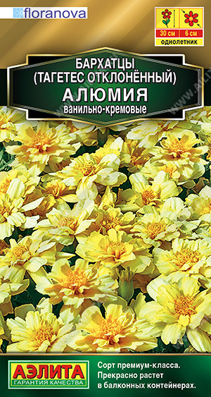 Бархатцы Алюмия ванильно-кремовые однолетник 7шт (Аэлита)