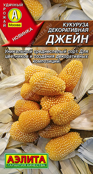Кукуруза Джейн декоративная 10шт (Аэлита)