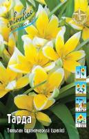 Тюльпан Тарда 8/+ 5шт (Колорлайн)