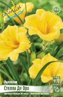 Лилейник Стелла Де Оро 2шт (Колорлайн)