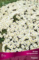 Астра Аполло 1шт (Поиск)