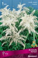 Астильба Диамант 1шт (Поиск)