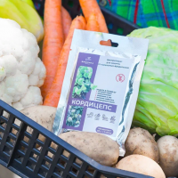 Кордицепс 50г (Бионика) Кордицепс 50г (Бионика)