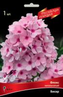 Флокс Бисер 1шт (Поиск)