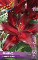 Лилия Авиньер (Восточный гибрид) 12/14 5шт (Колорлайн)