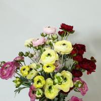 Ветка Ранункулюс SBPK/469 6 цветка (СС)