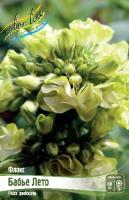 Флокс Бабье Лето 1шт (Колорлайн)