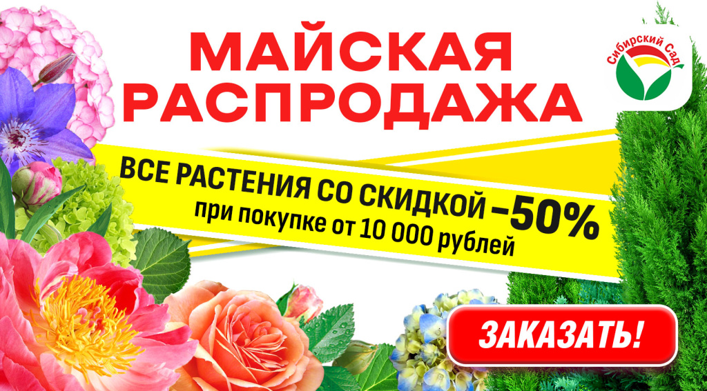 распродажа_50.jpg