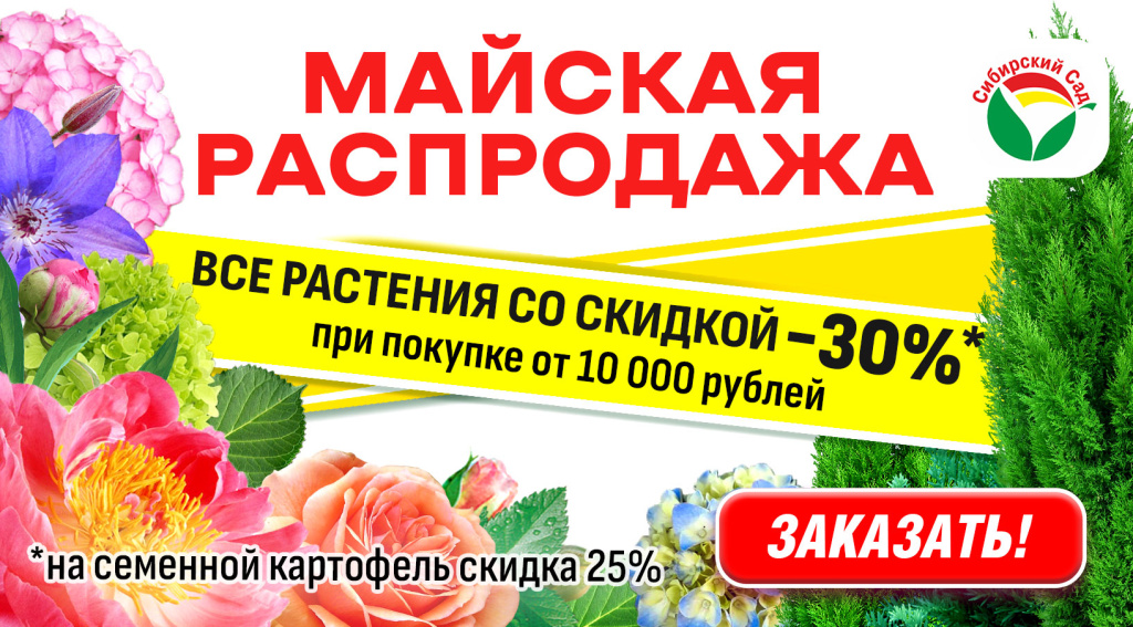финальняа-распродажа_3b.jpg