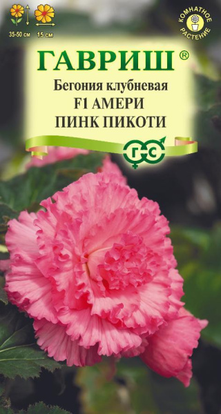 Бегония Амери пинк пикоти F1 клубневая 4шт (Гавриш) Бегония Амери пинк пикоти F1 клубневая 4шт (Гавриш)