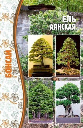Ель Аянская Бонсай 10шт (Ред.сем)