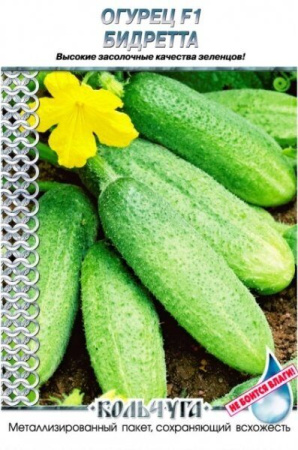 Огурец Бидретта F1 Кольчуга 12шт (НК)