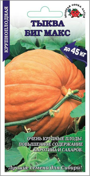 Тыква Биг Макс 5шт (Золотая Сотка) Тыква Биг Макс 5шт (Золотая Сотка)