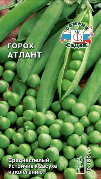 Горох Атлант 5г (Седек)