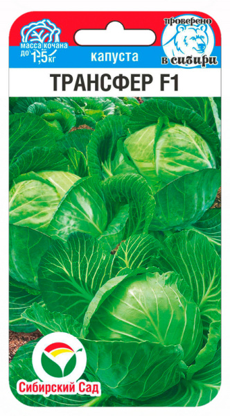 Капуста белокочанная Трансфер F1 10шт (Сиб Сад)
