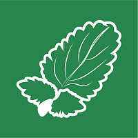 Мелисса, Мята, Душица