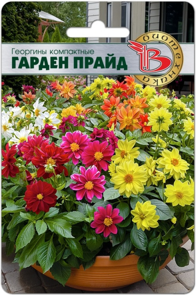 Георгина Гарден Прайд компактная однолетник 15шт (Биотехника)