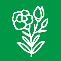 Эустома Эустома