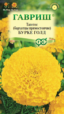 Бархатцы Бурке Голд 0,3г (Гавриш)