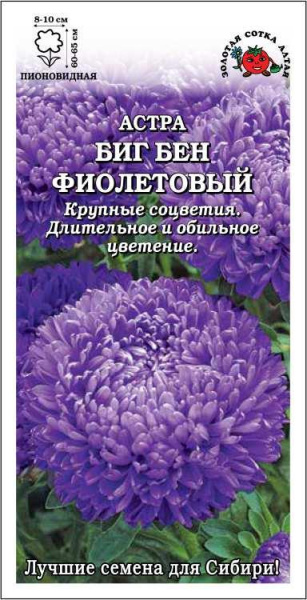 Астра Биг Бен фиолетовый однолетник 0,2г (Золотая Сотка)