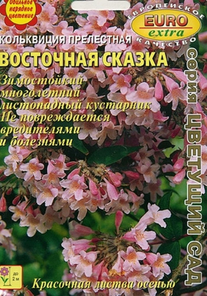 Кольквиция Восточная сказка прелестная многолетник 0,1г (Аэлита)