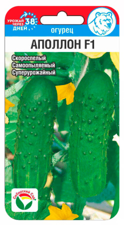 Огурец Аполлон F1 5шт (Сиб сад)