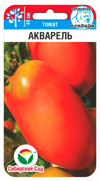 Томат Акварель 20шт (Сиб сад)