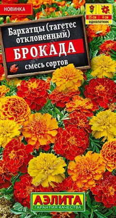 Бархатцы Брокада смесь однолетник 0,3г (Аэлита) Бархатцы Брокада смесь однолетник 0,3г (Аэлита)