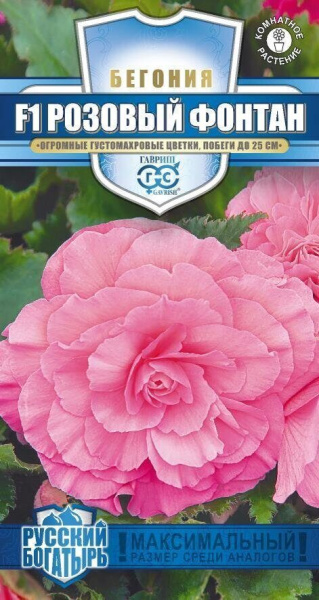 Бегония Розовый фонтан F1 Русский богатырь 4шт (Гавриш) Бегония Розовый фонтан F1 Русский богатырь 4шт (Гавриш)