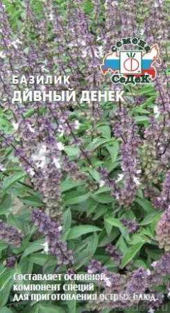 Базилик Дивный денек (Седек)