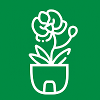 Горшки для орхидей Горшки для орхидей