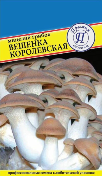 Мицелий грибов Вешенка королевская 12 палочек (Престиж)
