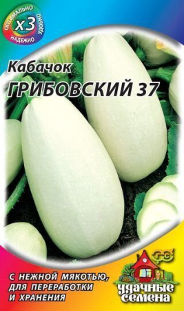 Кабачок Грибовские 37 ХИТ 1,5г (Гавриш)