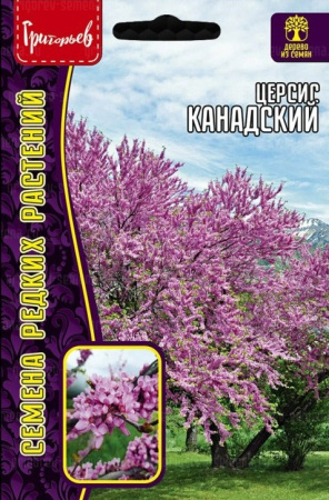 Церсис Канадский 7 шт (Ред.Сем)