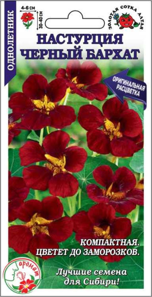 Настурция Черный бархат однолетник0,5 гр (Золотая Сотка) Настурция Черный бархат однолетник0,5 гр (Золотая Сотка)