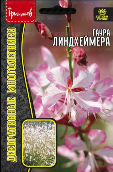 Гаура линдхеймера (Ослинник) многолетник 0,1г (Ред.сем.)