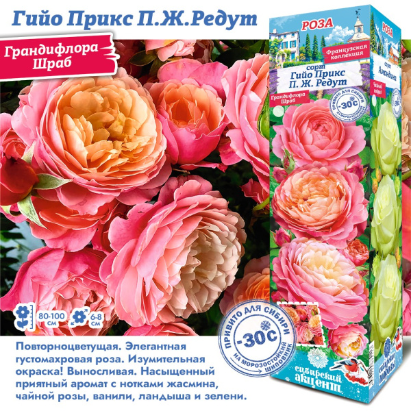 Роза Гийо Прикс П.Ж.Редут (Грандифлора/Шраб) 1шт (Сиб сад)