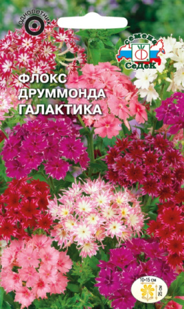 Флокс Друм Галактика смесь 0,25г (Седек)