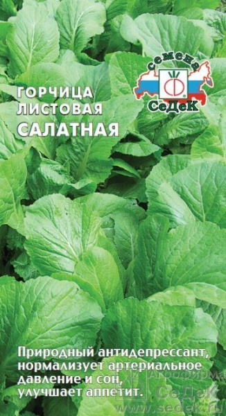 Горчица Салатная 1г (Седек)