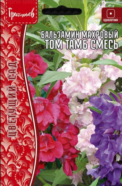 Бальзамин Том Тамб смесь махровая однолетник 10шт (Ред.Сем)