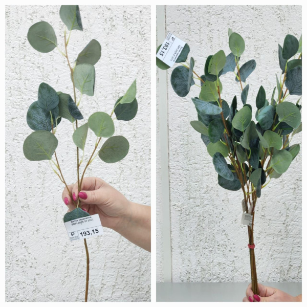 Ветка эвкалипта SBPL2025-31 (СС)