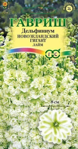 Дельфиниум Новозеландский Гигант Лайм многолетник 3шт (Гавриш)