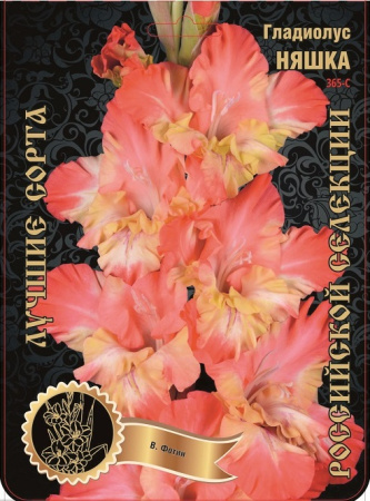 Гладиолус Няшка 365,Фотин Экстра 7шт (Ф)